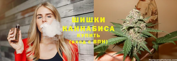 spice Касимов