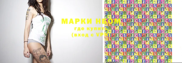 прущие грибы Дмитров