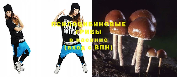 а пвп мука Дмитриев
