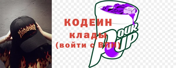 прущие грибы Дмитров