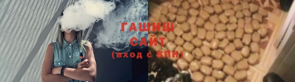 стафф Елизово