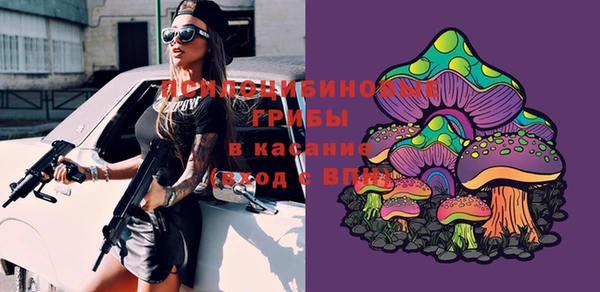 таблы Дмитровск