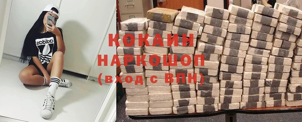 прущие грибы Дмитров