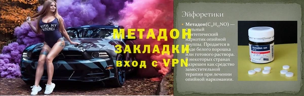 прущие грибы Дмитров