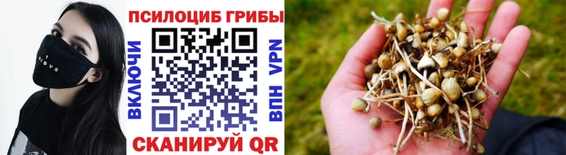 Галлюциногенные грибы Cubensis  Чита 