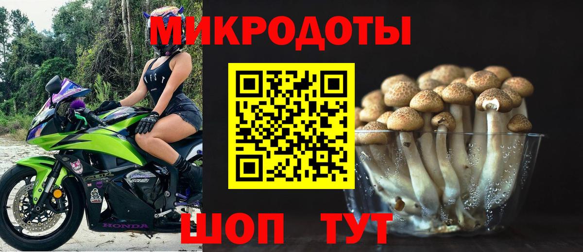 Чита  Галлюциногенные грибы GOLDEN TEACHER  Вход с VPN 