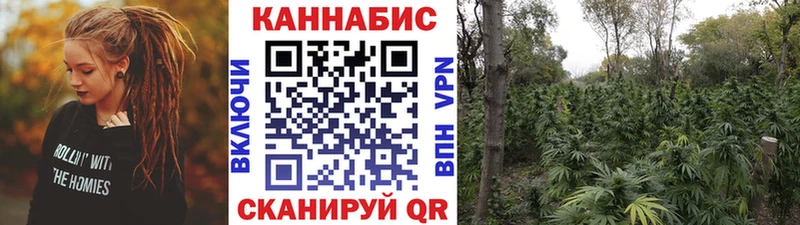 Конопля конопля  Чита 